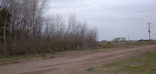 Pino Vende 4 Lotes Juntos Sobre Colectora De Mar Del Tuyu