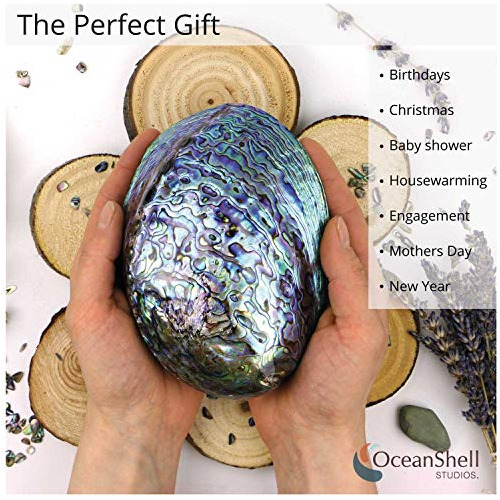 Ocean Shell Studios Concha De Abulón Pulida Caja De Re...