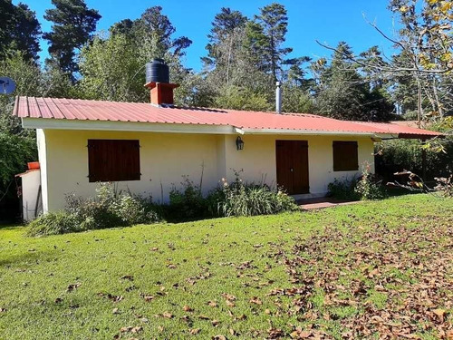 Imagen 17 de 21 de Villa Berna, Fracción 1 Hectárea Con 2 Casas Sobre Avenida