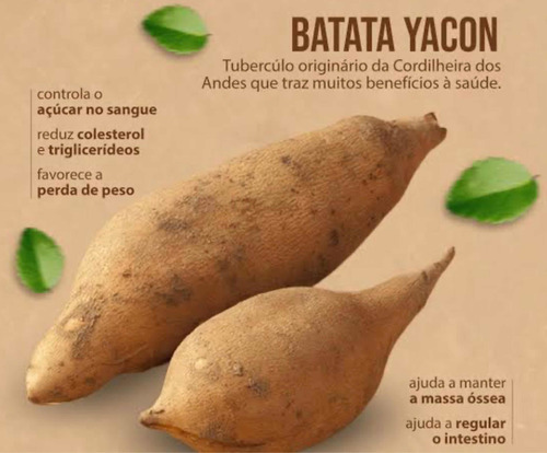 Batata Yacon Safra Nova 3 Kg Livre De Agrotóxicos Oferta!