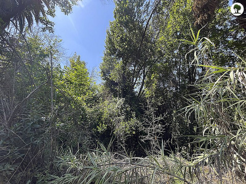 Sitio Para Proyecto Inmobiliario En La Reina