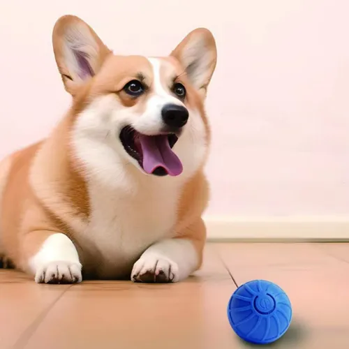 Pelota Interactiva Perro Gato Juguete Recargable Inteligente Color