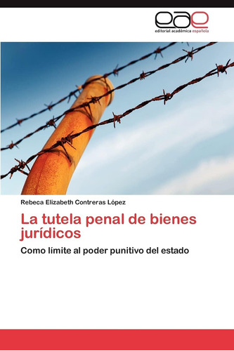 Libro: La Tutela Penal De Bienes Jurídicos: Como Límite Al P