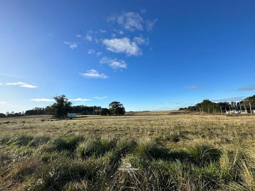Terreno En Tandil