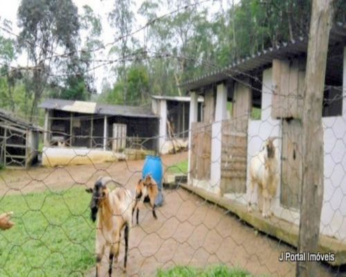 Imagem 8 de 15 de Chacara - 01 - 32939019