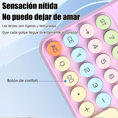 Calculadora De 12 Dígitos Multicolor Con Pantalla Grande Color Morado