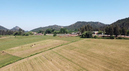 Sitio 5.000mts2 A 10 Minuto Lago Colbún Vende Dueña