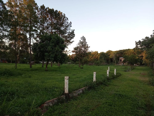 Imagem 3 de 18 de Chácara Com 2 Dormitórios À Venda, 10000 M² Por R$ 750.000,00 - Loteamento Porto Dourado - Foz Do Iguaçu/pr - Ch0020