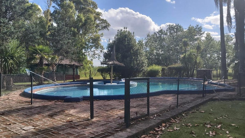 Imagen 10 de 30 de Venta Hermosa Chacra Haras Con Casco Y Mejoras En San Miguel Del Monte