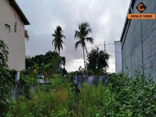 Imagem 9 de 15 de Terreno Próximo Ao Bosque Da Paz - Te00443 - 69487473