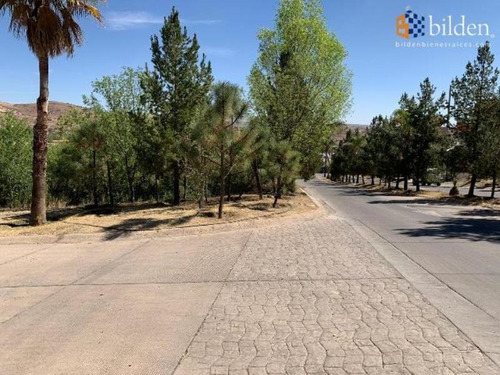 Imagen 4 de 4 de Terreno En Venta Fraccionamiento Ciudad San Isidro