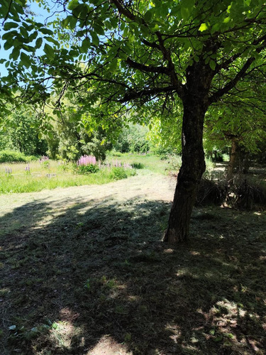 Chacra En Ruta 16