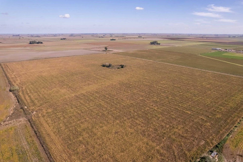 Imagen 5 de 10 de Campo Agricola En Venta 33 Ha Coronel Bogado