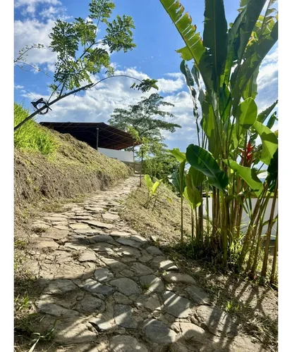 Vendo Finca En Villeta Cundinamarca