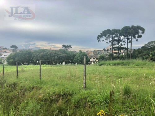 Imagem 2 de 4 de Área Zr-2 Com 18.470 M² Por R$ 14.900.000 - Uberaba - Curitiba/pr - Ar0028