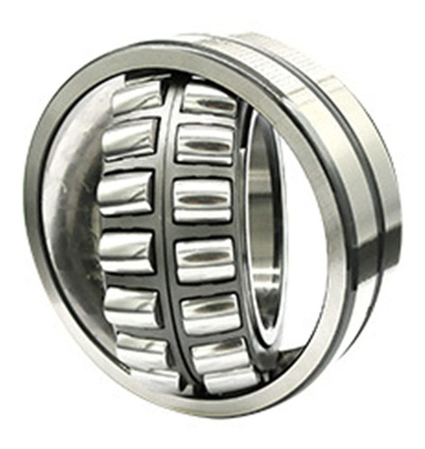 Fasna Self-aligning Roller Bearing Mm Double Row Steel Nn