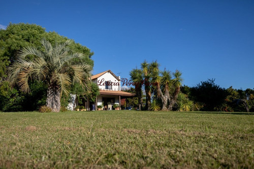 Imagen 6 de 22 de Venta Chacra En San Carlos 2 Has , Abra De Perdomo, Los Ceibos