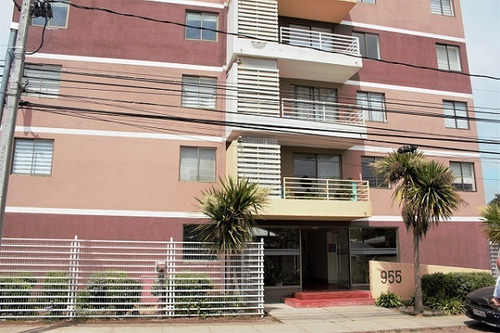 Imagen 2 de 10 de Venta Departamento En Chillán