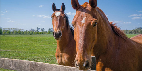 Imagen 12 de 30 de Gran Oportunidad!!! Venta De Lotes En Technopolo- Listos Para Construir!!