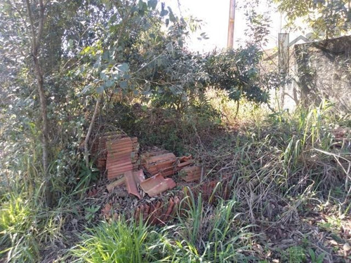 Imagem 11 de 15 de Cod 5906 - Chácara Com Riacho, Medindo 4.700 M² - 5906