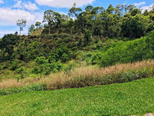 Imagem 4 de 9 de Terreno À Venda, 2474 M² Por R$ 180.000,00 - Vieira - Teresópolis/rj - Te0243