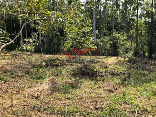 Imagem 10 de 15 de Chácara Em Canelinha - Canelinha, Sc - 129