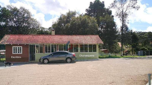 Imagem 8 de 22 de Chácara Com 4 Dormitórios, 21793 M² - Venda Por R$ 2.000.000,00 Ou Aluguel Por R$ 6.000,00/mês - Borda Do Campo - Piraquara/pr - Ch0005