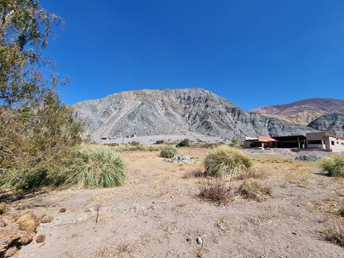Venta Terreno En Purmamarca Sobre Ruta 5.387,54m²