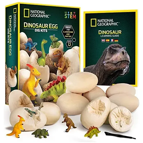 Byncceh Kit De Excavación De Dinosaurios – 6 Huevos Con Figuras Brillantes Para Desenterrar, Incluye Herramientas Y Tarjetas Educativas, Actividad Paleontológica Para Niños 6+