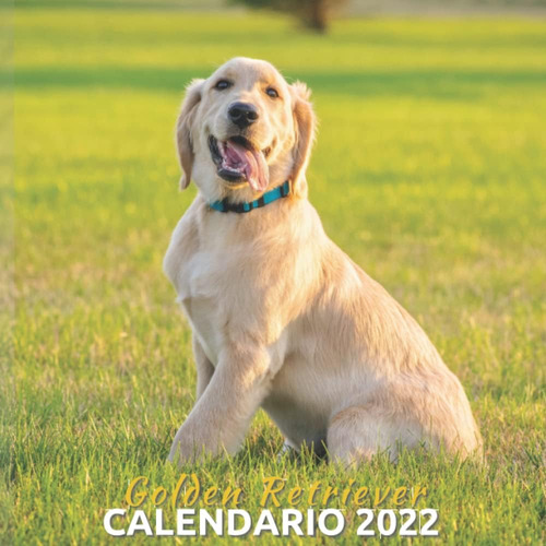 Libro: Calendario 2022 Golden Retriever: Mensual Enero A D
