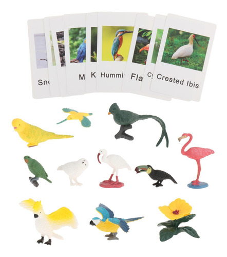 Figuras De Animales Montessori Con Tarjetas Flash Pájaro