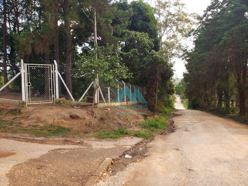 Imagem 7 de 13 de Linda Chácara Com Escritura Apenas 2 Km Do Acesso A Carvalho Pinto - Ch0037