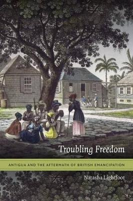 Libro Troubling Freedom : Antigua And The Aftermath Of Br...