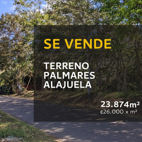 Venta De Terreno - Palmares, Alajuela
