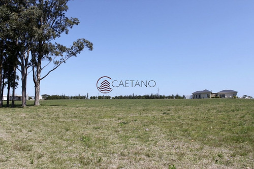 Imagen 6 de 11 de Terreno En Venta - Zona Barra - La Barra El Quijote