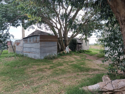 Vendo Campo Agrícola Con Construcciones Modestas, 2 Tajamares, Consulte Y Coordine Una Visita