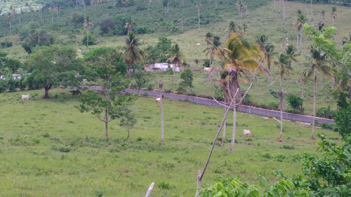 Solar 7000m2 Playa Rincon Samana Las Galeras