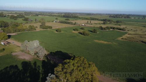 Ayres de Cardales