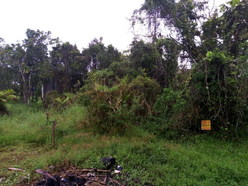 Imagem 4 de 5 de Terreno No Litoral Com 321m². 02 Unidades ! Itanhaém