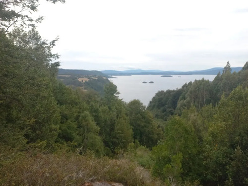 Parcela En Curihue - Panguipulli Lote 3