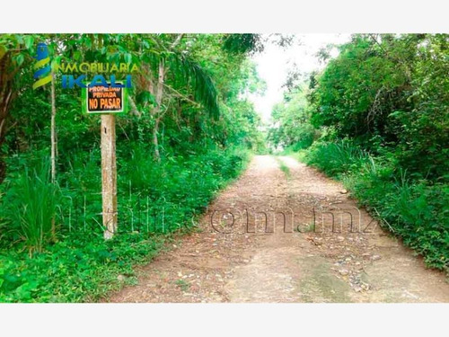 Imagen 5 de 8 de Terreno En Venta Juana Moza