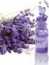  Fragancias Concentradas Al 100 % Lavanda