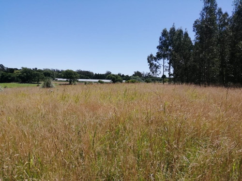 Venta Campo 5 Hectáreas Sierra De Los Padres