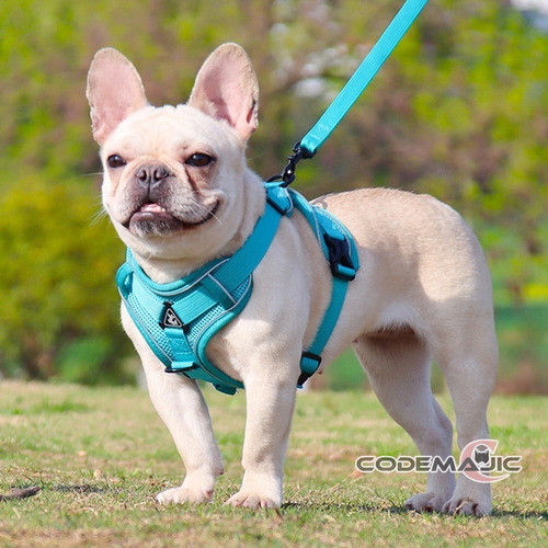 Arnés Pechera Con Correa Malla Resistente Para Perro Gato