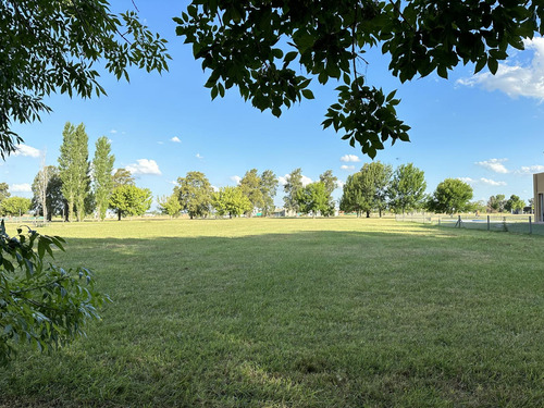 Terreno En Lobos