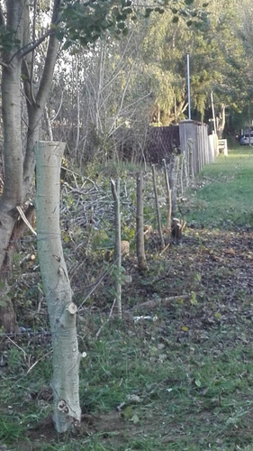 Terreno San Bernardo 560m2 Dueño Directo  Impuestos Al Día