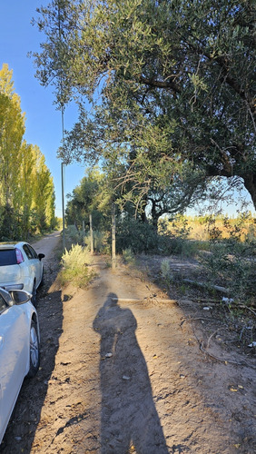 Gran Terreno O Lote De 2 Has En San Rafael Ideal Emprendimie