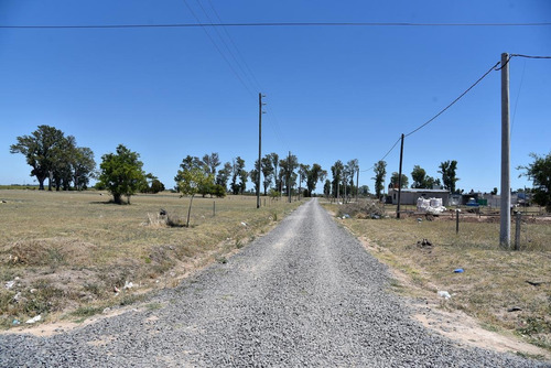 Imagen 4 de 4 de Terreno - La Plata