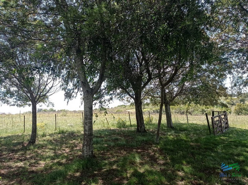 Imagen 15 de 20 de Vendo Chacra 5 Hectateas Con Casa En Ruta 39, Las Cañas - Las Cañas Las Cañas
