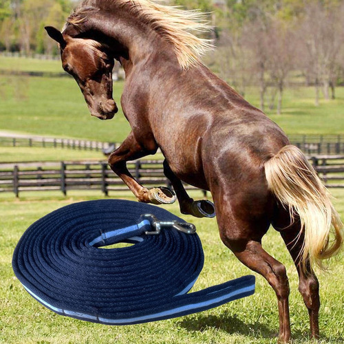 Cuerda De Caballo Correa De Línea Larga Correa De